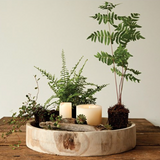 Hand-Carved Wood Tray