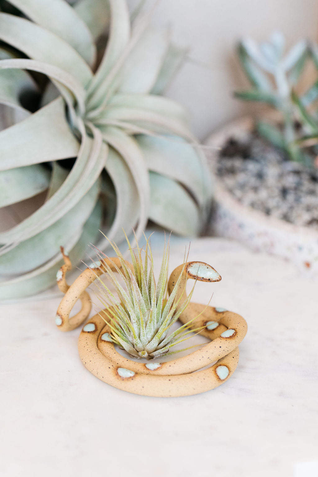 Carter + Rose Medium Ceramic Snake