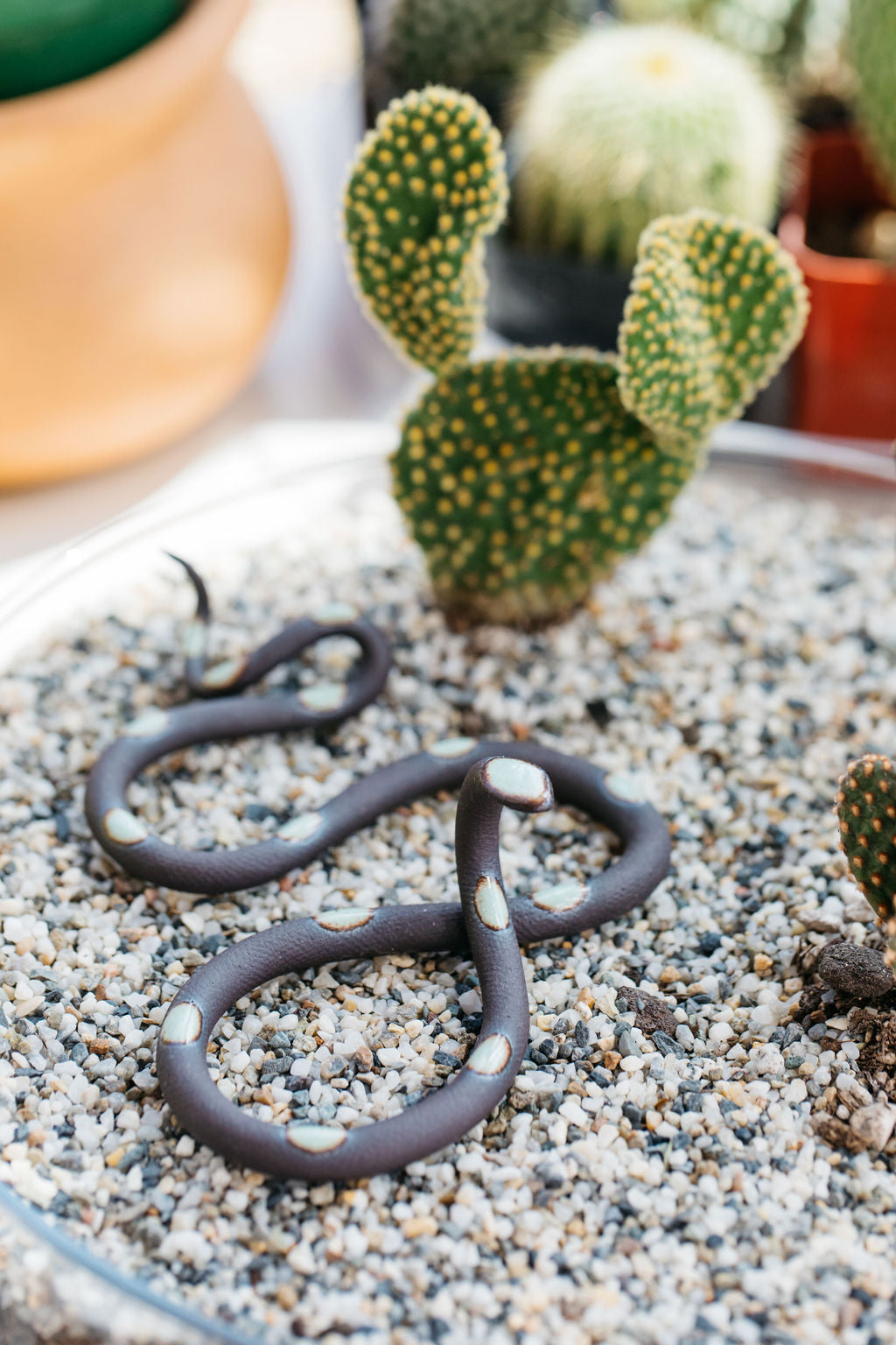 Carter + Rose Small Ceramic Snake