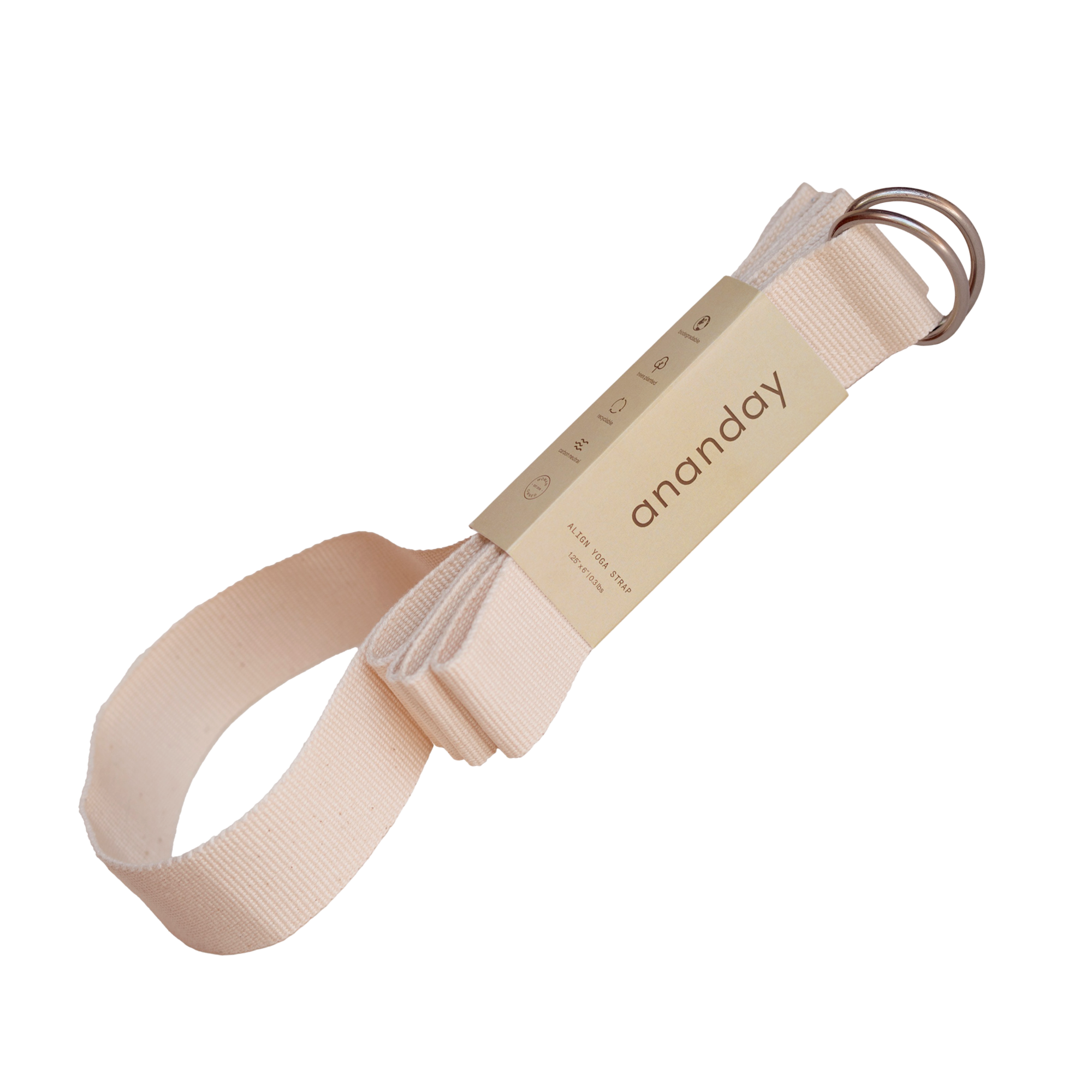 Ananday Align Yoga Strap