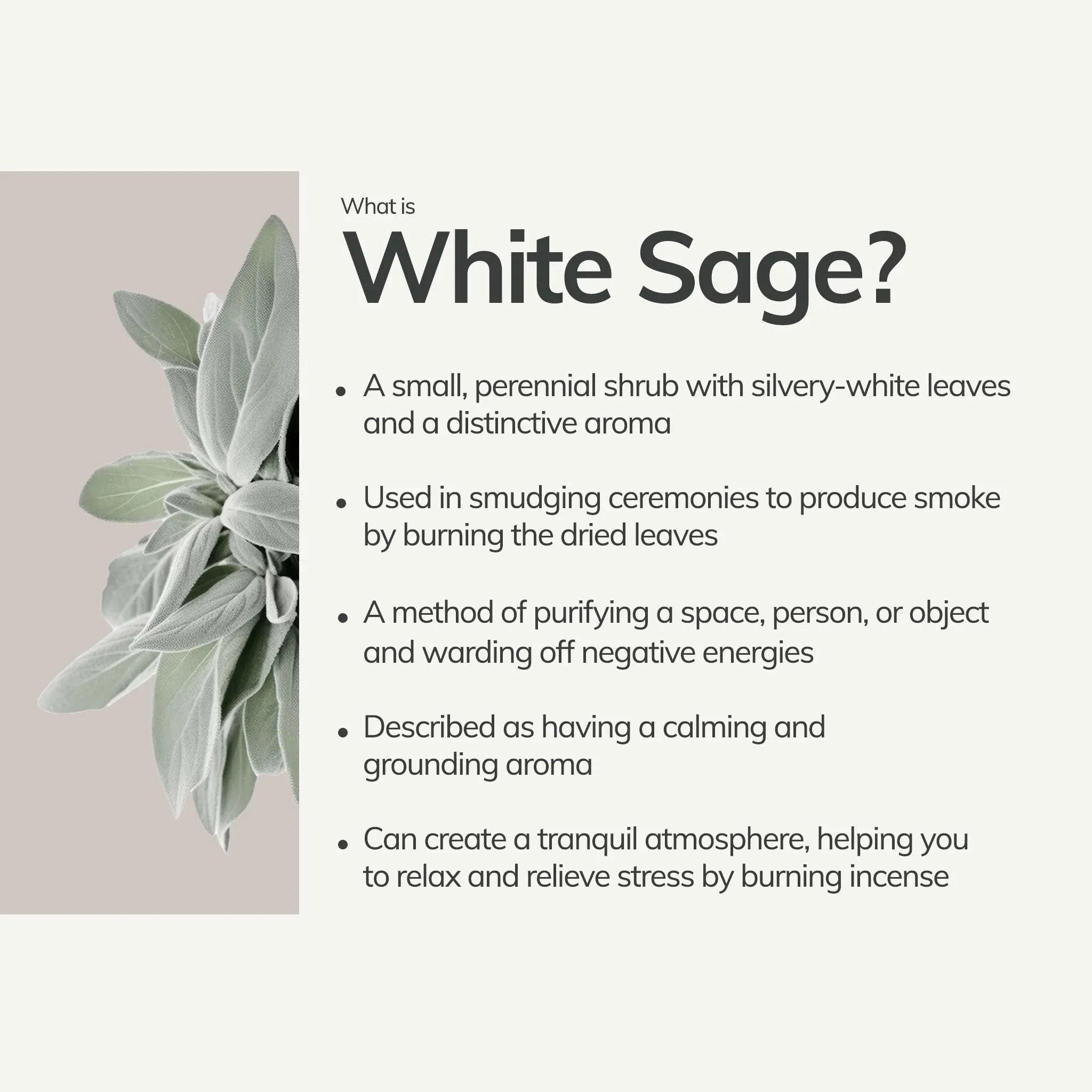 Cedar and Myrrh Smudge Stick Organic White Sage | Mini