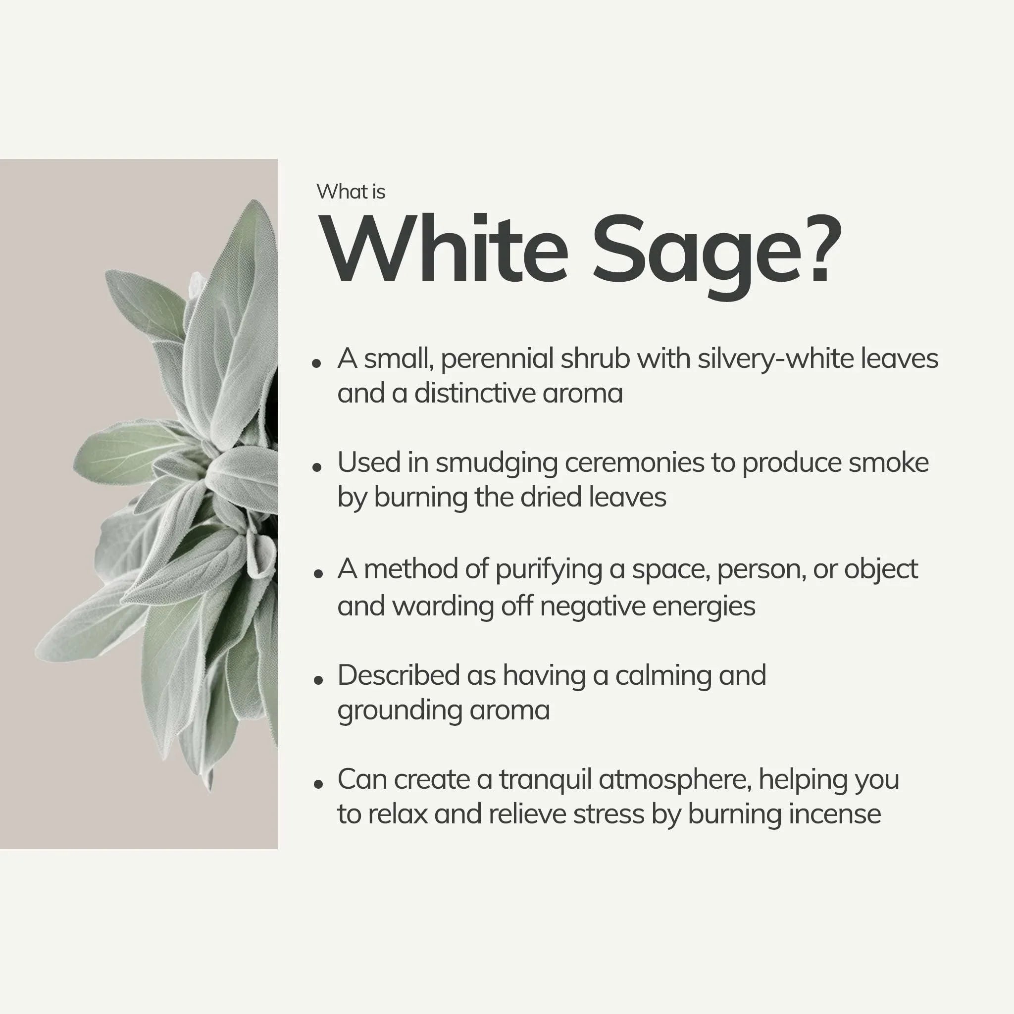 Cedar and Myrrh Smudge Stick Organic White Sage | Medium