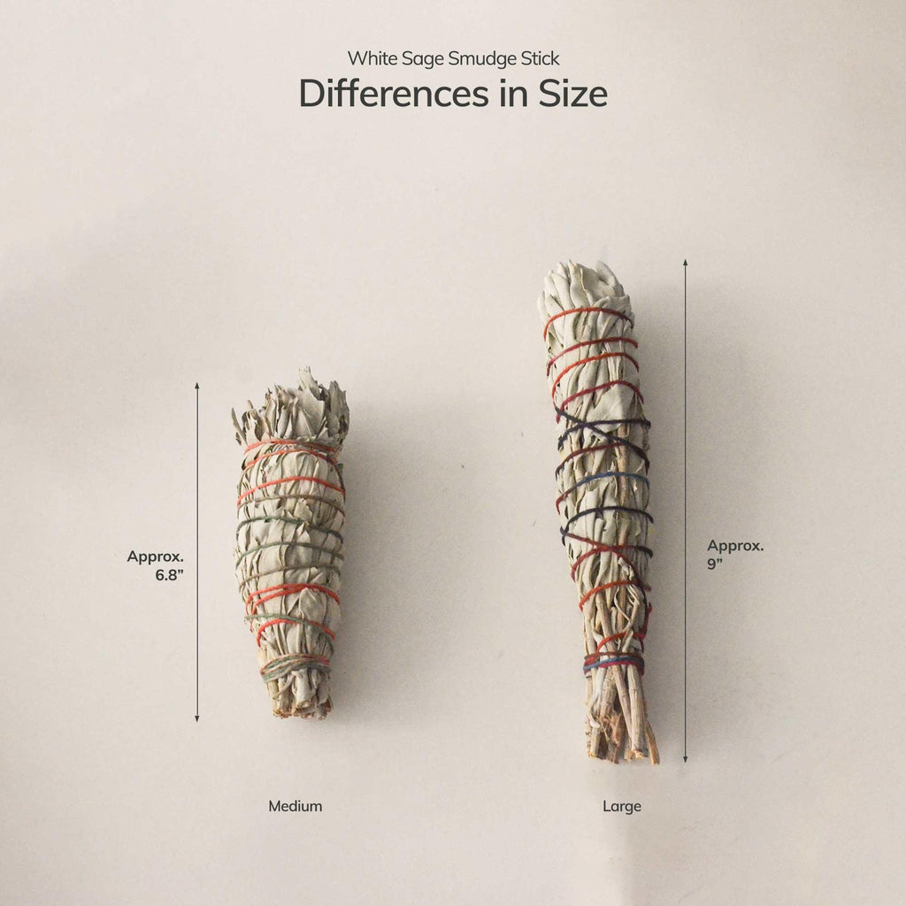 Cedar and Myrrh Smudge Stick Organic White Sage | Medium