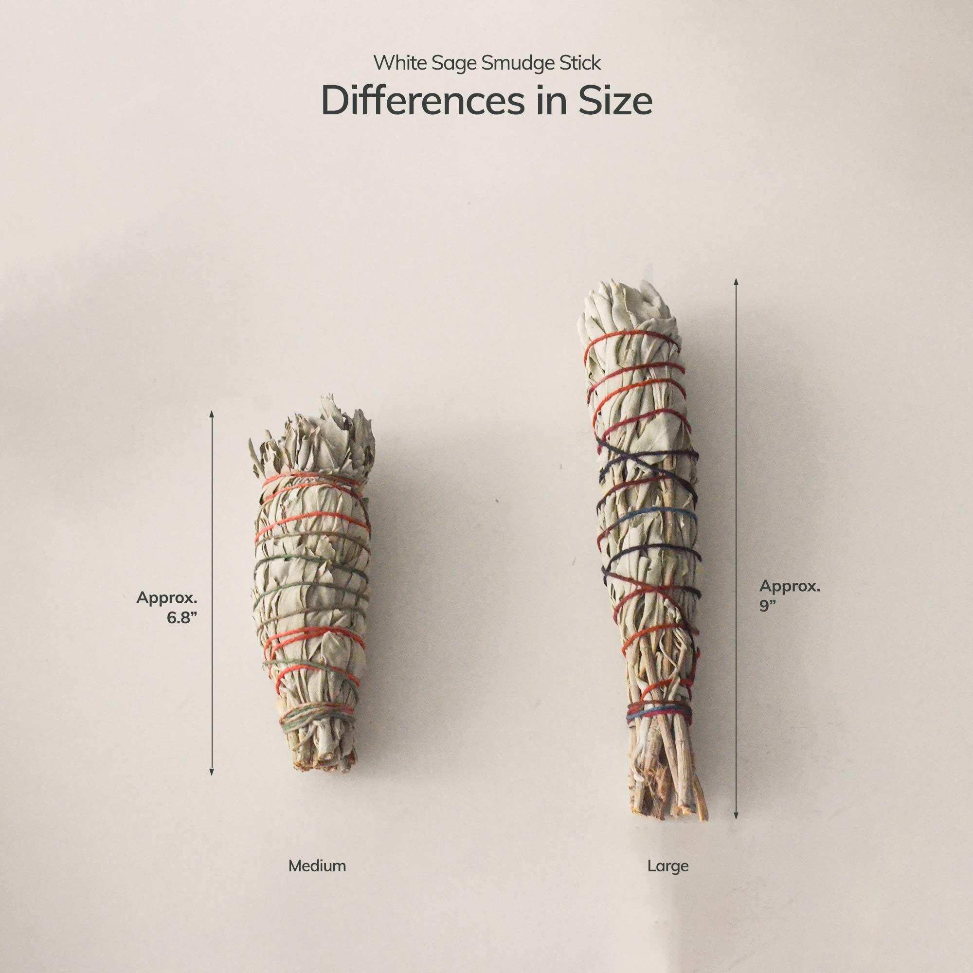 Cedar and Myrrh Smudge Stick Organic White Sage | Medium